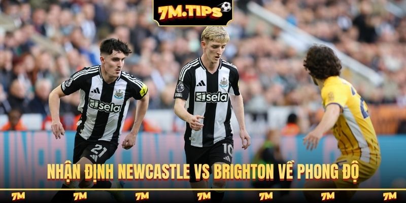 Nhận định Newcastle vs Brighton về phong độ